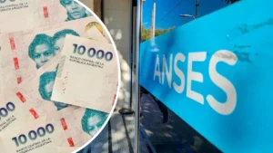 ANSES oficializó el esquema previsional y el tope para cobro de asignaciones