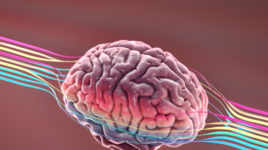 Qué indicios tempranos revelan el camino hacia el Alzheimer antes del diagnóstico
